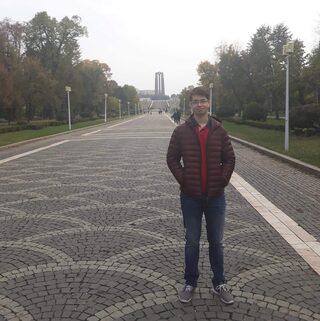 Liviu Chirimbu, Profesor de matematică